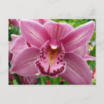 Purple Orchid Elegant Floral Postcard