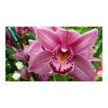 Purple Orchid Elegant Floral Poster