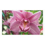 Purple Orchid Elegant Floral Rectangular Sticker