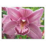 Purple Orchid Elegant Floral Tissue Paper
