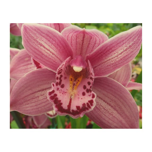 Purple Orchid Elegant Floral Wood Wall Art (Front)