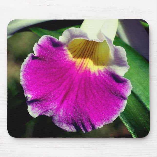 Purple Orchid Flower  Mouse Pad (Front)