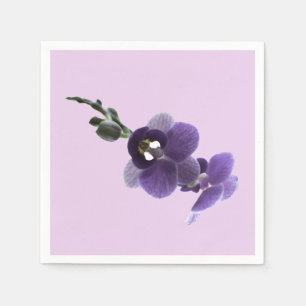 Purple orchid flower, napkins