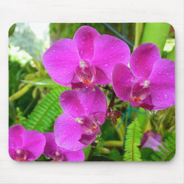Purple Orchid Mouse Pad (Front)