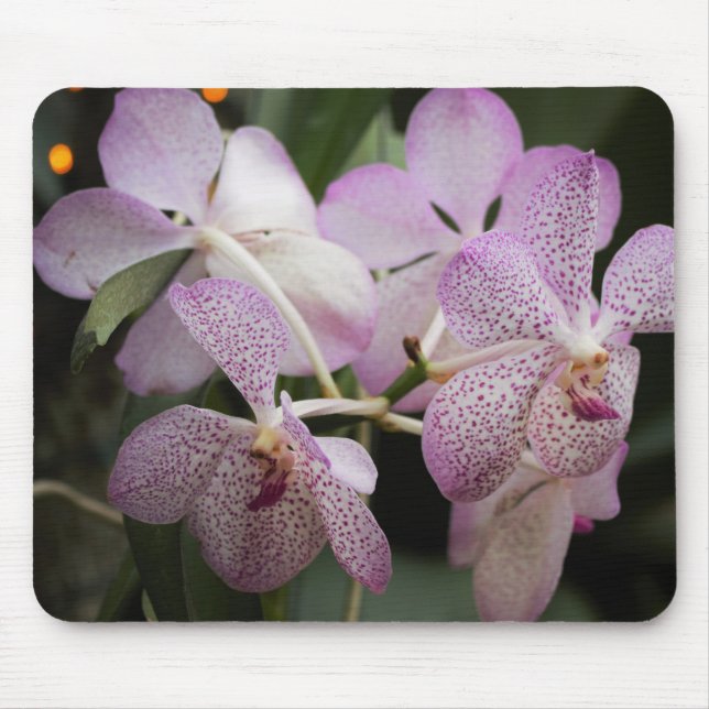 Purple Orchid Mousepad II (Front)