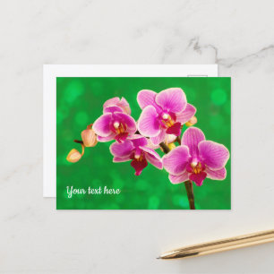 Purple Orchid on Green Postcard
