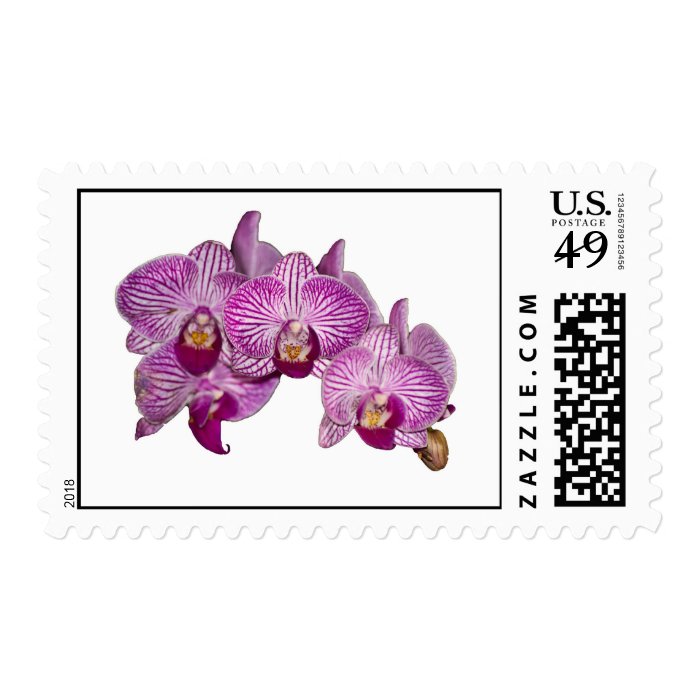 Purple Orchid Postage Stamp