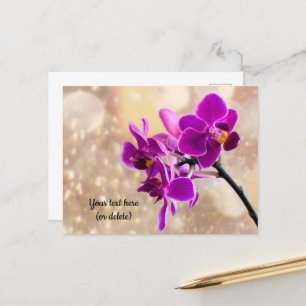 Purple Orchid Postcard