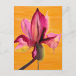 Purple Orchid watercolour orange pop art flower Postcard