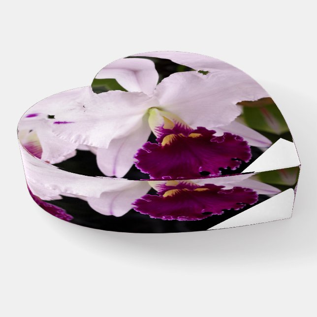 Purple Orchid with White pedals Glass Paperweight (Angled)