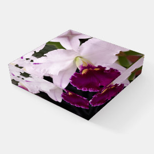 Purple Orchid with White pedals Glass Paperweight
