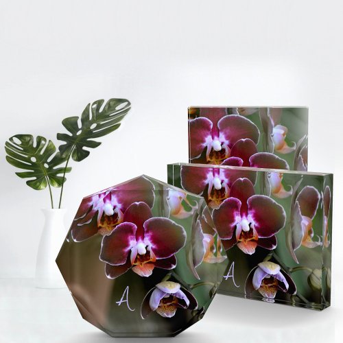 Purple Orchids Botanical Photographic Monogrammed Photo Block