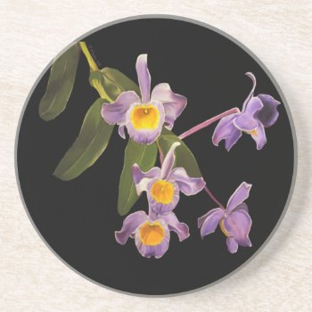 Purple Orchids Coaster by MoonArtandDesigns at Zazzle