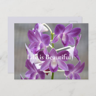 Purple Orchids Kauai Hawaii Postcard