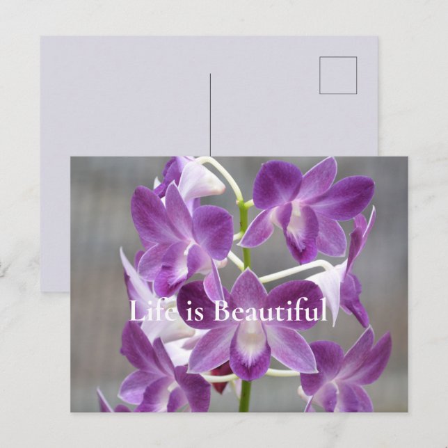 Purple Orchids Kauai Hawaii Postcard (Front/Back)
