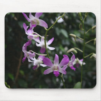 Purple Orchids Mouse Pad
