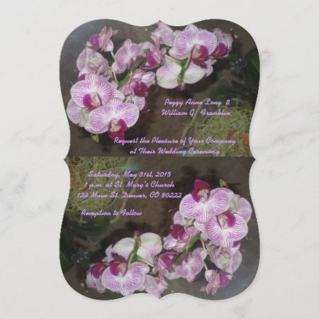 Purple Orchids Wedding Invitations