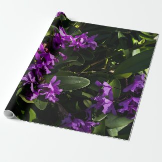 Purple orchids wrapping paper