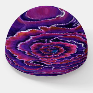 Purple ornamental cabbage paperweight