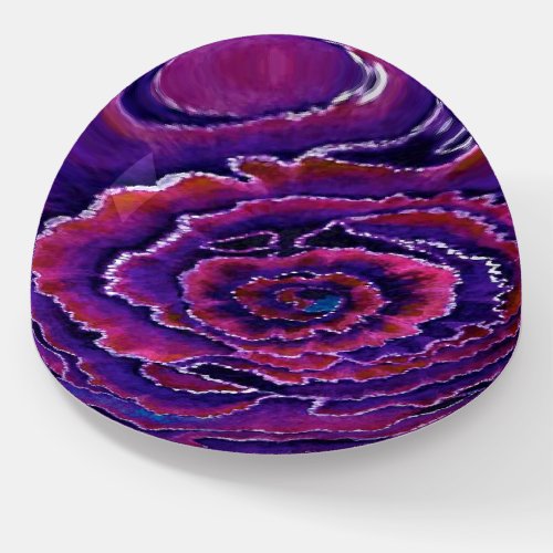 Purple ornamental cabbage paperweight