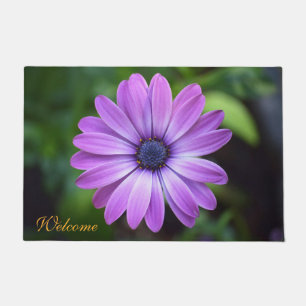 Purple Osteopermum Doormat