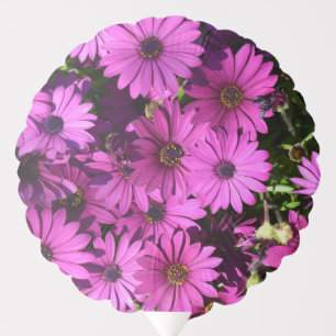 Purple Osteospermum Flowers Balloon