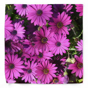Purple Osteospermum Flowers Bandana