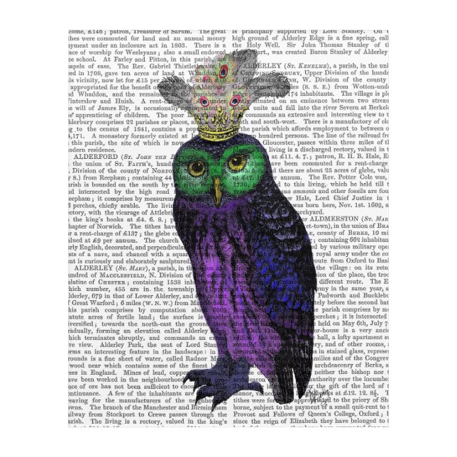Purple Owl Acrylic Print (Front)