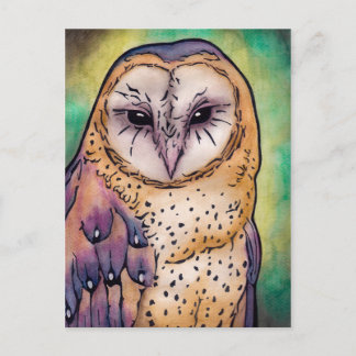 Purple Owl Postcard