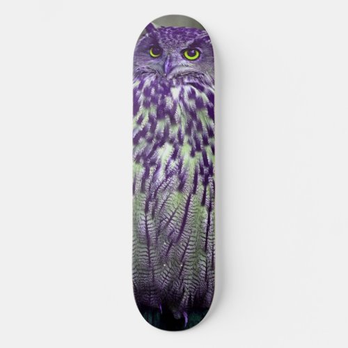 Purple Owl Skateboard Deck