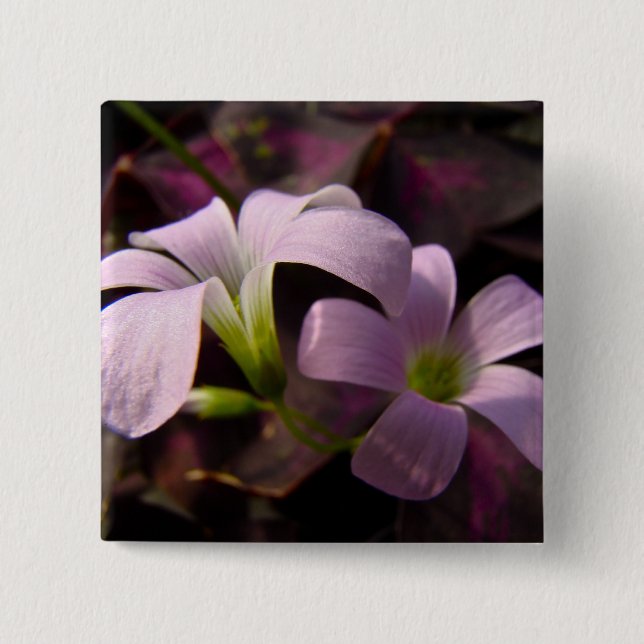 Purple Oxalis Blossoms Button (Front)