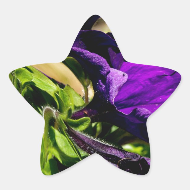 Purple Panic Star Sticker (Front)