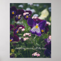 Purple pansies and pink forget-me-nots