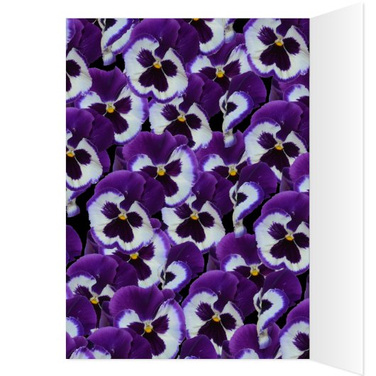 Purple Pansies Bouquet, (Inside (Left))
