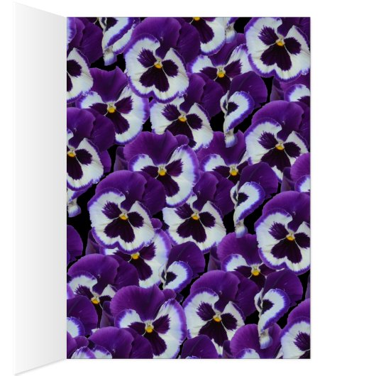 Purple Pansies Bouquet, (Inside (Right))