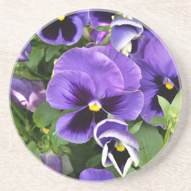 purple pansies drink coaster (Front)