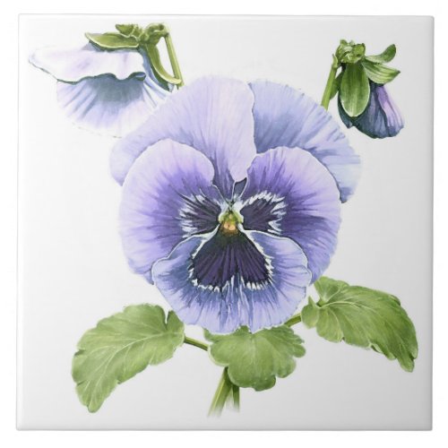 Purple Pansies Flowers Botanical Art Ceramic Tile