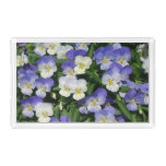 Purple Pansies Garden Floral Acrylic Tray