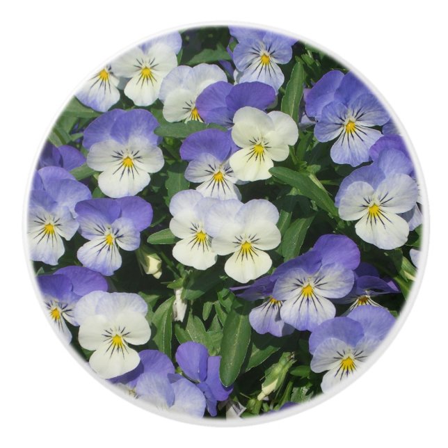 Purple Pansies Garden Floral Ceramic Knob (Front)