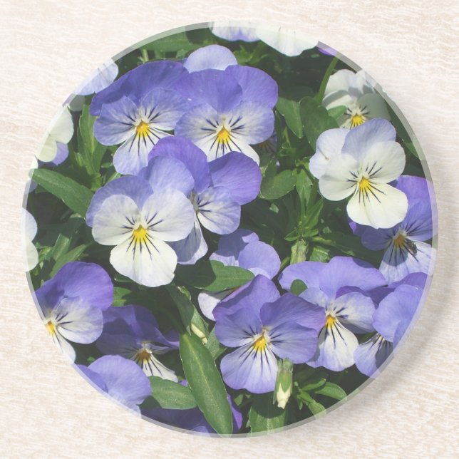Purple Pansies Garden Floral Drink Coaster (Front)