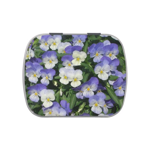Purple Pansies Garden Floral Jelly Belly Tin (Top)