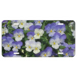 Purple Pansies Garden Floral License Plate