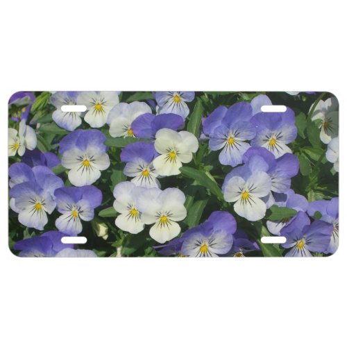 Purple Pansies Garden Floral License Plate