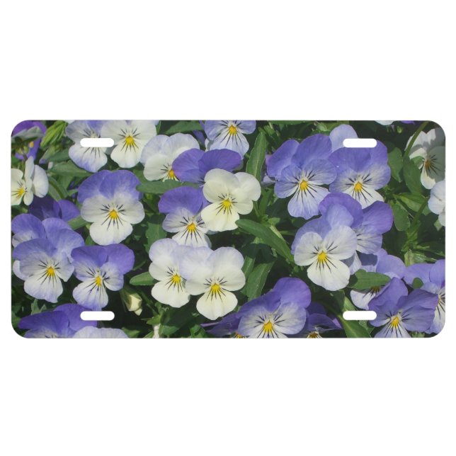 Purple Pansies Garden Floral License Plate (Front)
