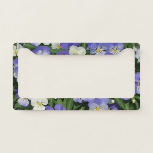 Purple Pansies Garden Floral License Plate Frame