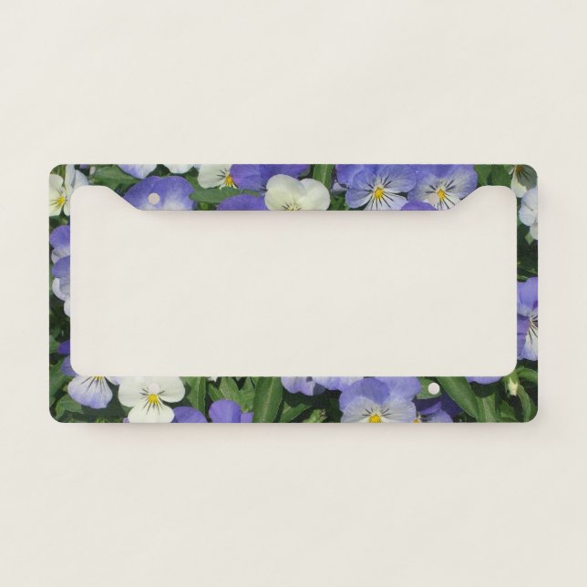 Purple Pansies Garden Floral License Plate Frame (Front)