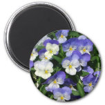 Purple Pansies Garden Floral Magnet