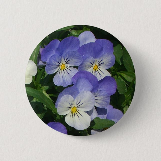 Purple Pansies Garden Floral Pinback Button (Front)