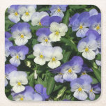 Purple Pansies Garden Floral Square Paper Coaster