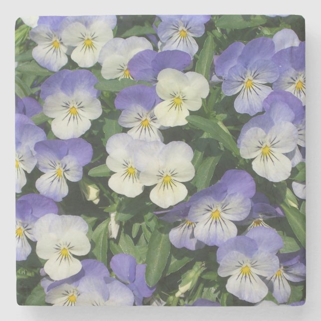 Purple Pansies Garden Floral Stone Coaster (Front)